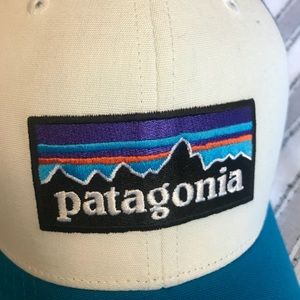 Patagonia trucker hat